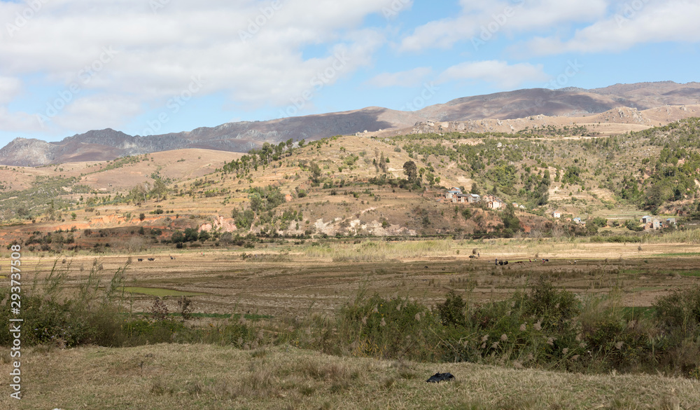 Landscape in the middle of Madagascar