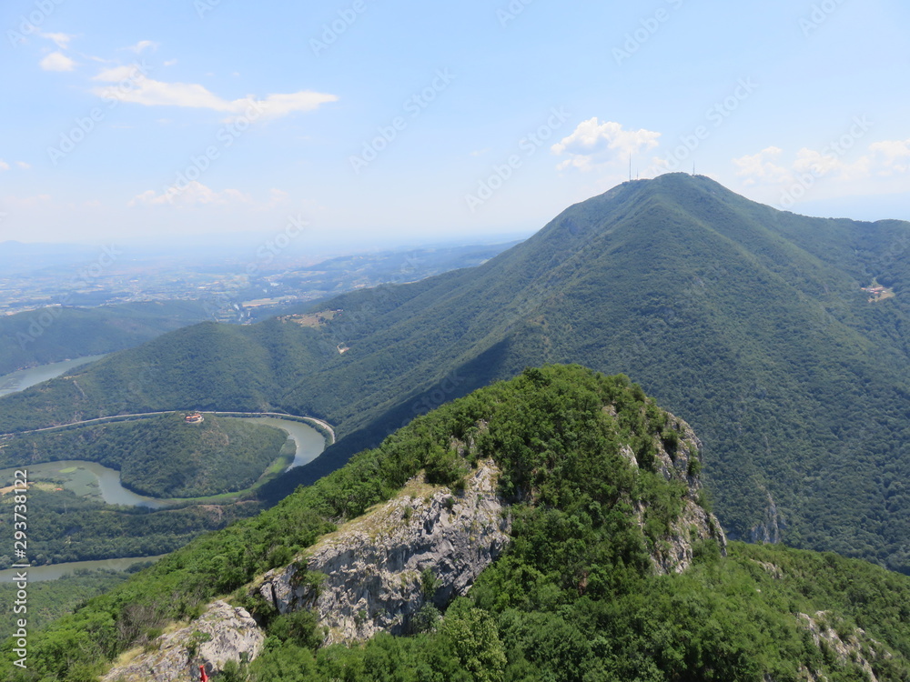 Obraz premium view of the mountain top with overgrown vegetation