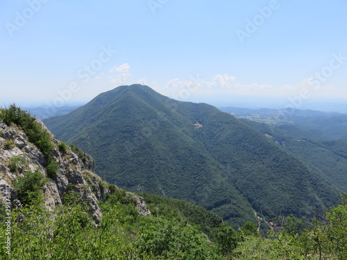 view of the mountain top with overgrown vegetation