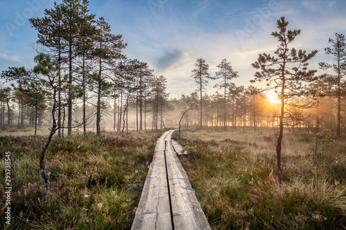 Scenic view from swamp with wooden path and beuatiful sunrise at autumn morning in Finland