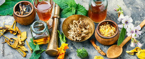 Fotografie Herbal naturopathic medicine