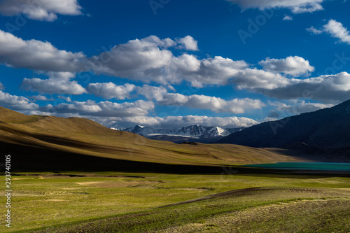 Green Medows near Tsokar Lake,Ladakh,India