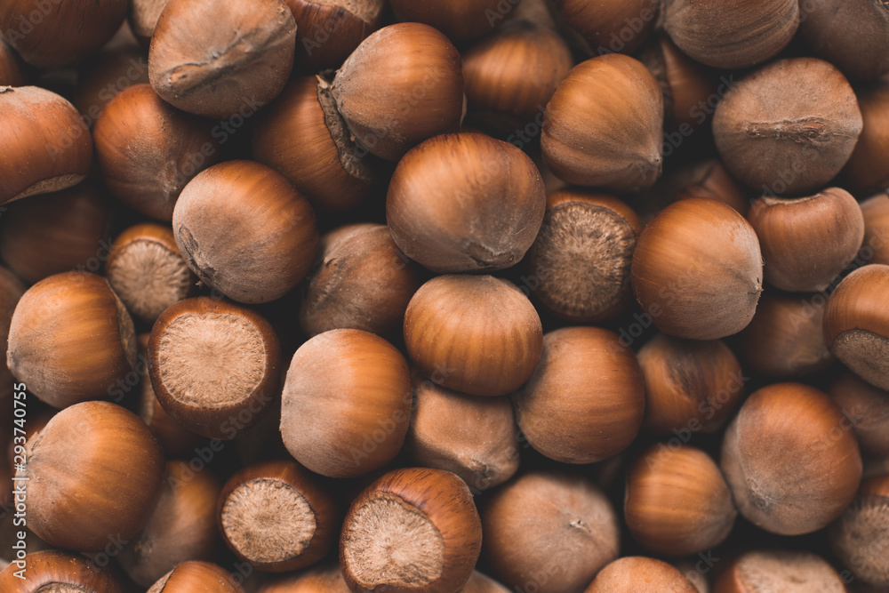 Pile of unpeeled hazelnuts closeup. Autumn season harvesting. Top view. Pile of unpeeled hazelnuts closeup. Autumn season harvesting. Top view.