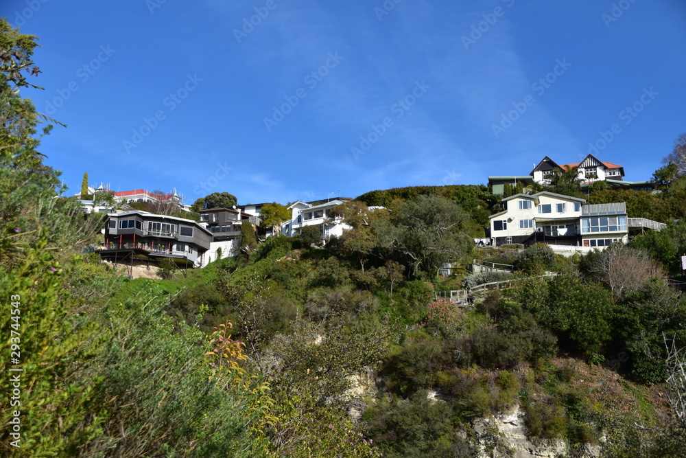 Fototapeta premium The view of New Zealand
