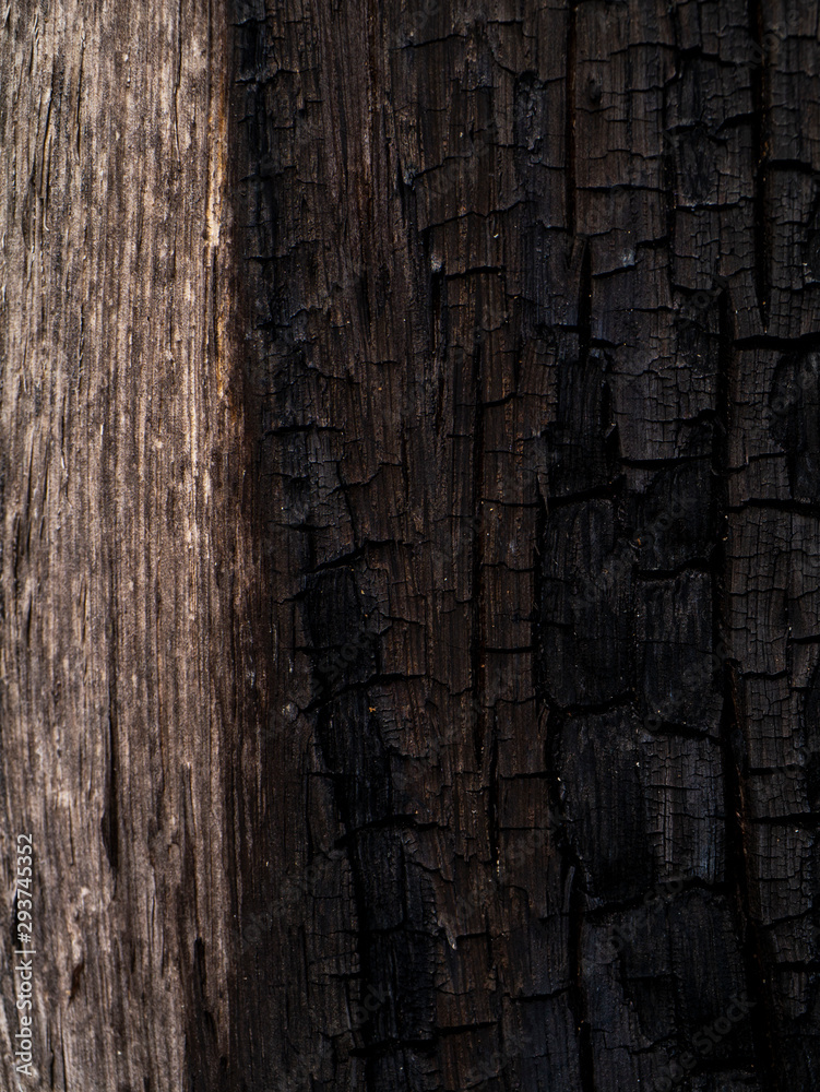 Fototapeta premium The Surface of charcoal background.