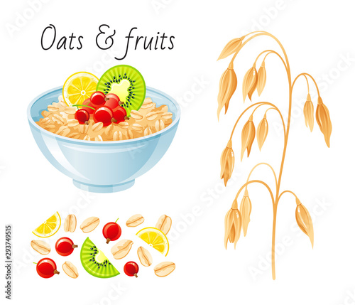 Oat meal fruit berry set. Bowl, oatmeal ear, flake, kiwi, currant. Breakfast cup, oat grain porridge, muesli. 3d realistic icon. Cartoon healthy food design. Vector illustration isolated background