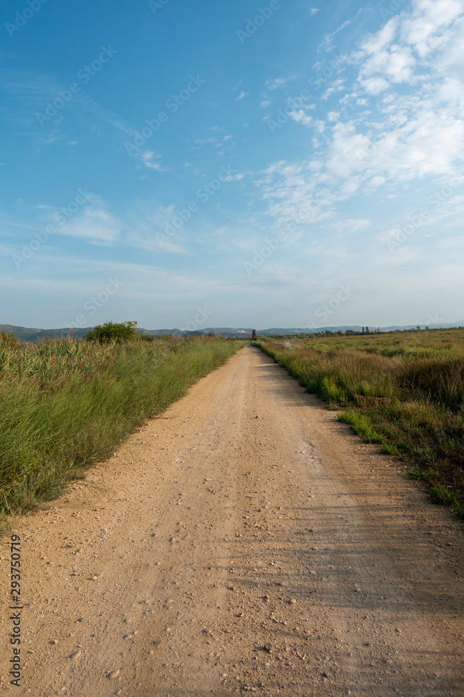 The natural park of the prat of Cabanes and Torreblanca in Castellon