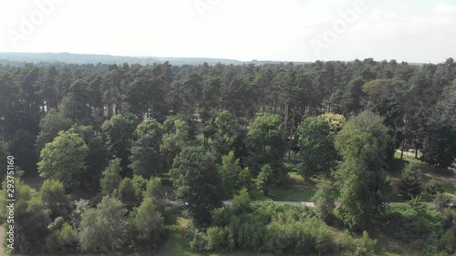 Pinewood Forest Cannock Chase England Countryside Aerial Summer 4K Cine D