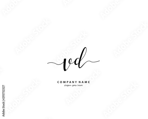 VD Initial handwriting logo vector
