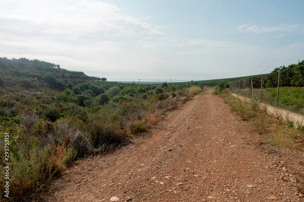 The natural park of the prat of Cabanes and Torreblanca in Castellon The natural park of the prat of Cabanes and Torreblanca in Castellon