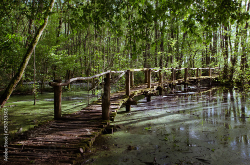 un vieux pont de bois traverse une rivi  re dans for  t tropicale