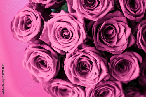 Canvastavla Luxury bouquet of purple roses, flowers in bloom as floral holiday background