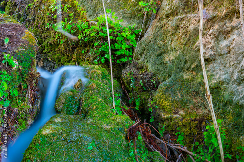 Arroyos en los bosques de Benizar ,Moratalla,Murcia(España) photo