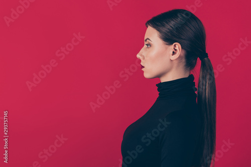 Profile side photo of gorgoeus strict lady freelancer look listen to her employees real leader wear fashionable clothes isolated over red color background photo