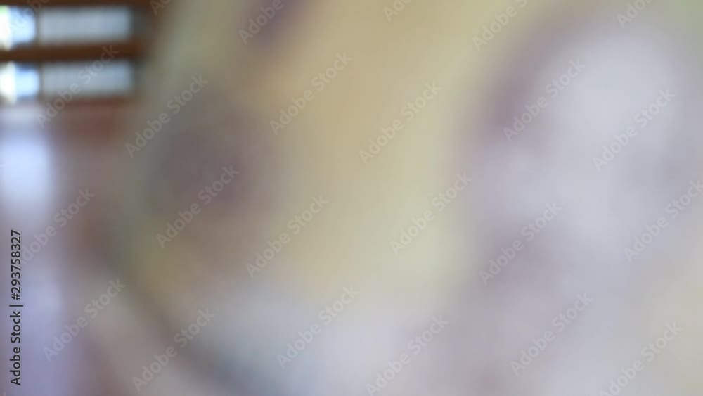 Focusing on Vietnam Dong Banknotes from Blur focus Focusing on Vietnam Dong Banknotes from Blur focus