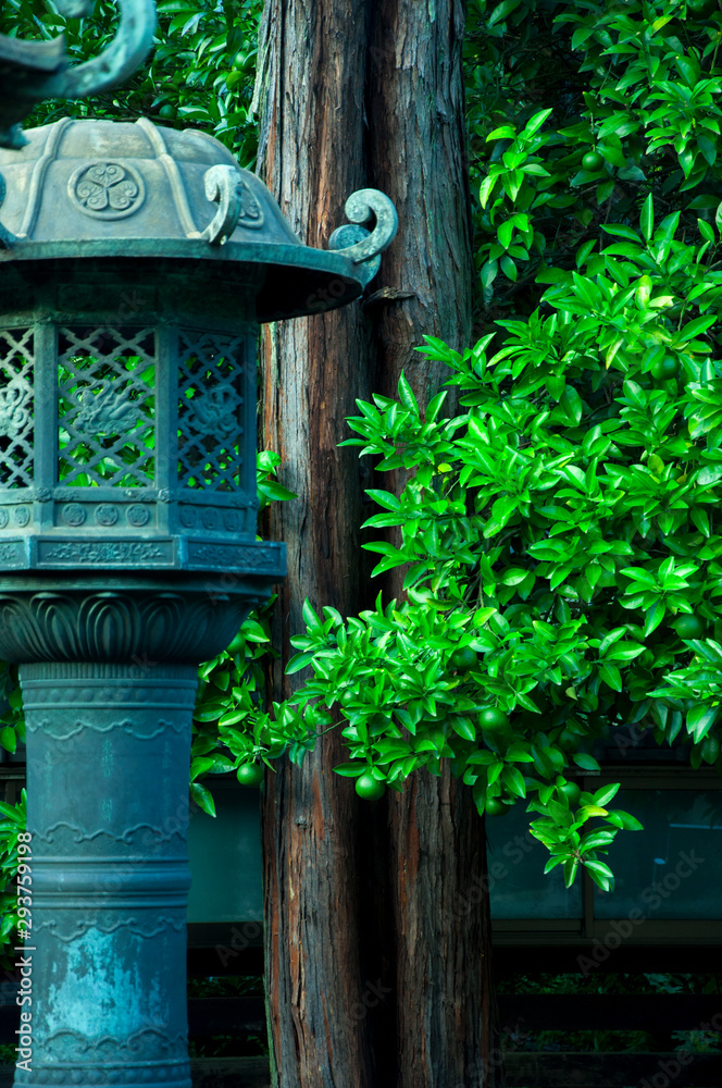 Tokyo, Japan, Ueno Toshogu, historical monument bronze lantern Tokyo, Japan, Ueno Toshogu, historical monument bronze lantern