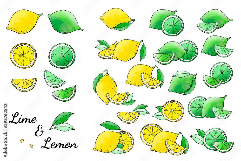 Obraz premium Lime lemon fruit icons with watercolor texture. Vector stock set. Cute doodles. Summer fruit, bright citrus for lemonade and cocktail. Can be used for printed materials. Hand drawn design elements