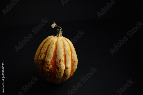 Halloween holiday, Halloween greeting card, orange pumpkin isolated on black background, holiday decorations