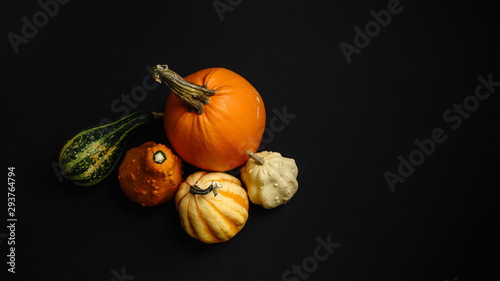 Halloween holiday, Halloween greeting card, orange pumpkins isolated on black background, holiday decorations