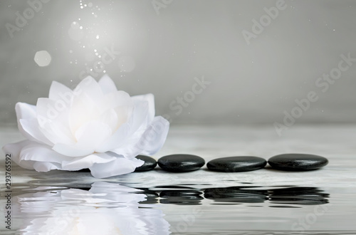 Spa still life with water lily and massage stones