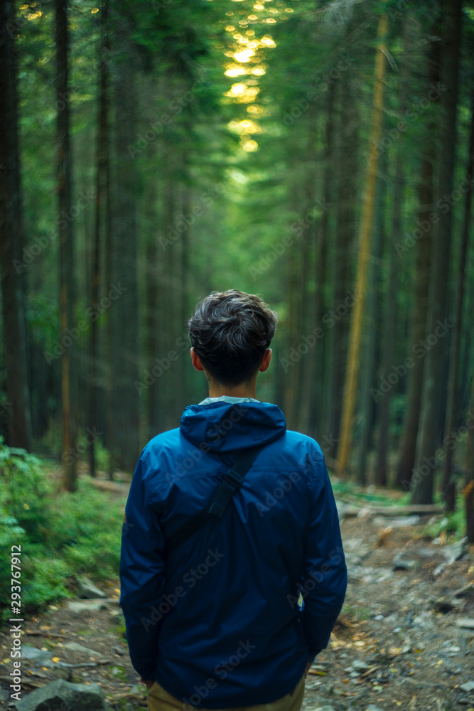 Fototapeta premium lonely guy back to camera on symmetry green pine forest scenery landscape unfocused background vertical photography 