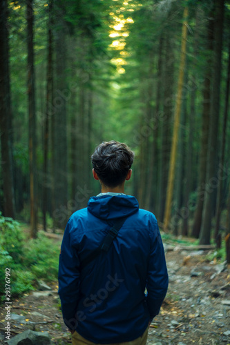 lonely guy back to camera on symmetry green pine forest scenery landscape unfocused background vertical photography 
