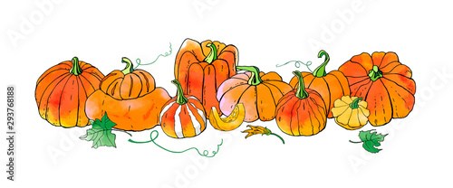 Orange autumn pumpkins. Fall harvest. Cute cartoons with watercolor texture. Halloween, thanksgiving. Food background. Hand drawn design elements. For postcards, greetings, cards, logo. 