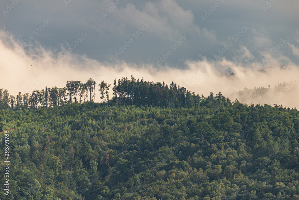 Photo of Mountain landscape with trees and fog. Peaks in the clouds. Tourism in the mountains.
