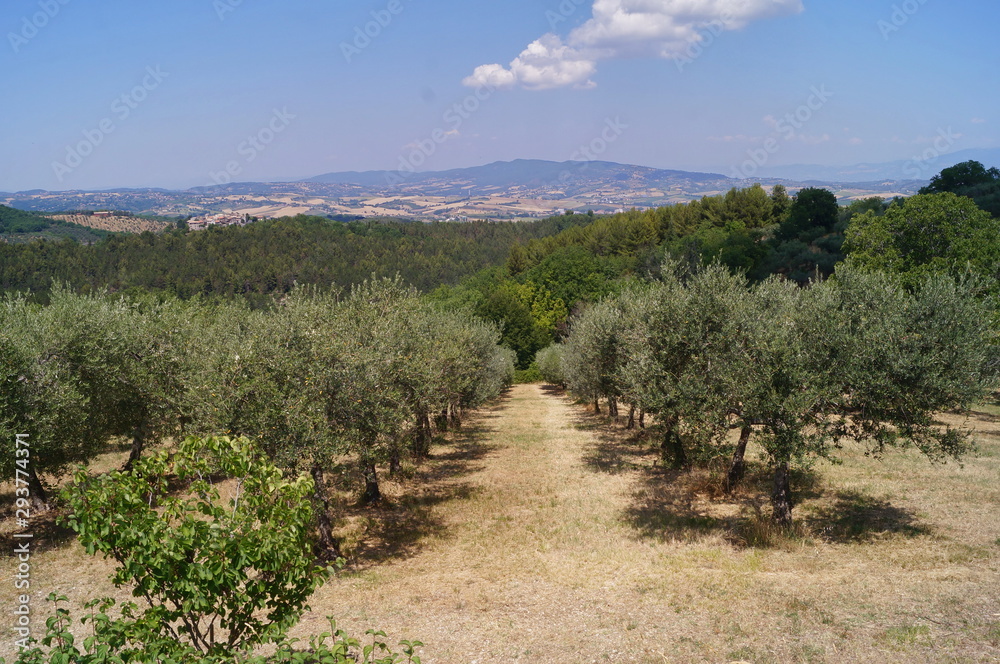 View of the countryside around Giano dell'Umbria, Perugia, Umbria, Italy View of the countryside around Giano dell'Umbria, Perugia, Umbria, Italy