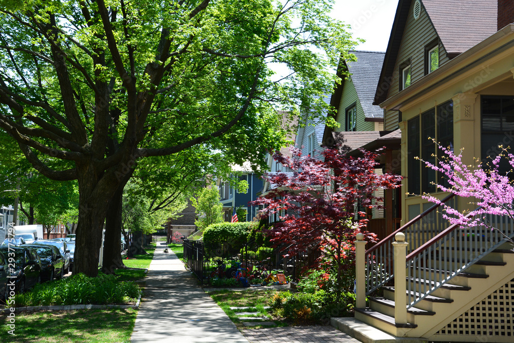 Fototapeta premium Spring has arrived in a residential neighborhood of Chicago