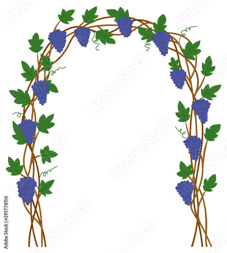 Grape gate, harvest festival in Europe, natural element of exterior. Terrace sign, branch with leaf, vineyard place, purple plant, entrance symbol vector