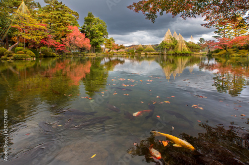 Photography Kenrokuen garden during momiji season, Kanazawa city, Ishikawa prefecture, Japan