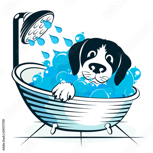 Dog taking a bath animal care