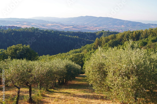 View of the countryside around Giano dell'Umbria, Perugia, Umbria, Italy