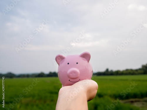 hand holding pink piggy bank on the green rice field background, Saving money for future plan and retirement fund concept © Lucky7Trader