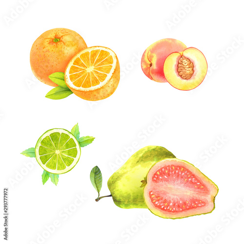 Isolated watercolor fruits set on white background: orange, peach, lime, guava