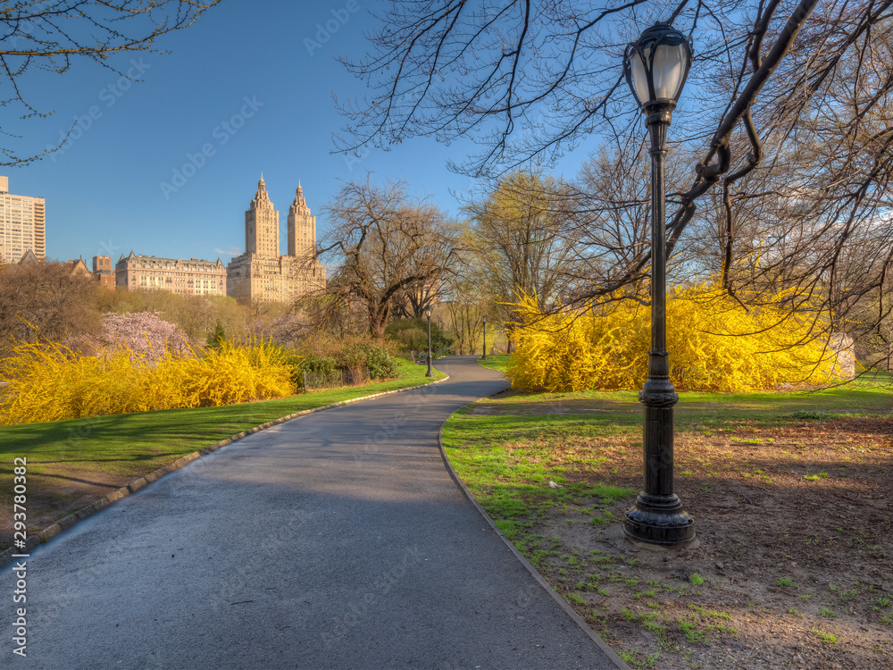 Central Park in spring