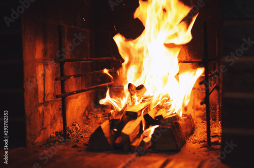 Firewood burns in the fireplace