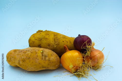La patata es un tuberculo muy importante en la cultura sudamericana y Española photo