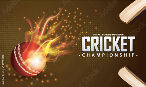 Realistic fire ball and cricket bat on brown halftone background. Cricket Championship Poster.