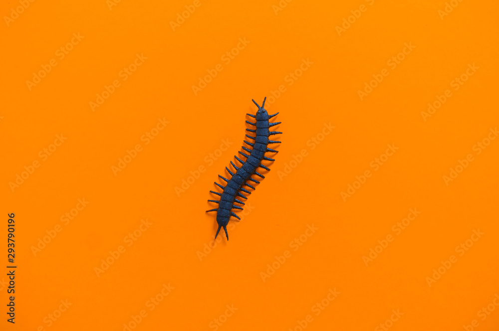 Halloween holiday toy insect. Autumn decor for children Halloween holiday toy insect. Autumn decor for children