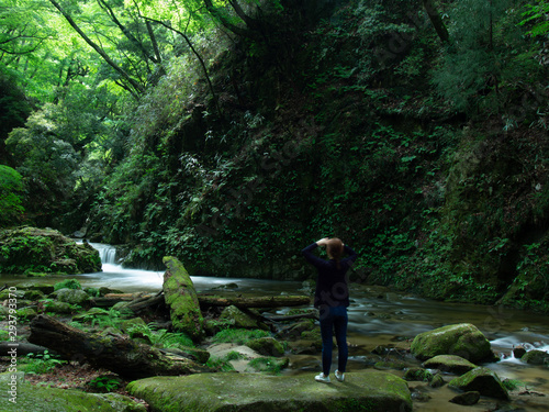 man in the forest