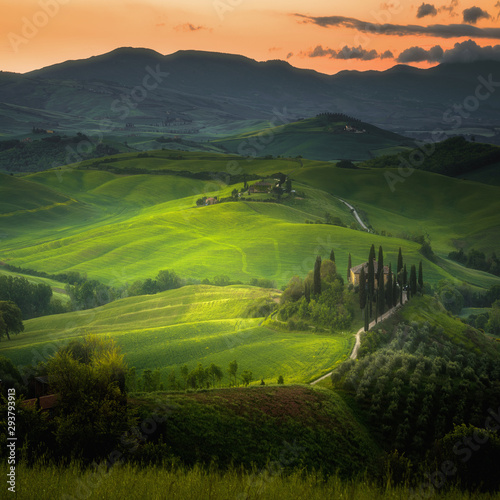 Spring light painted fields in Tuscany.