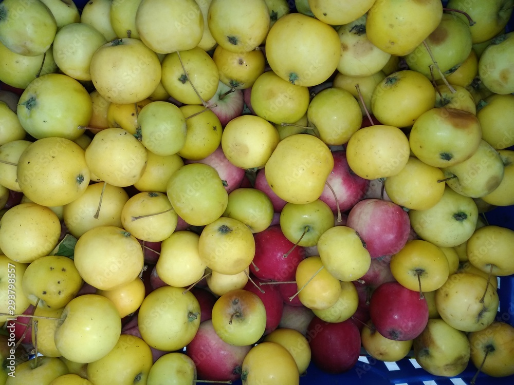 Yellow and pink small apples in large quantities in the basket Yellow and pink small apples in large quantities in the basket