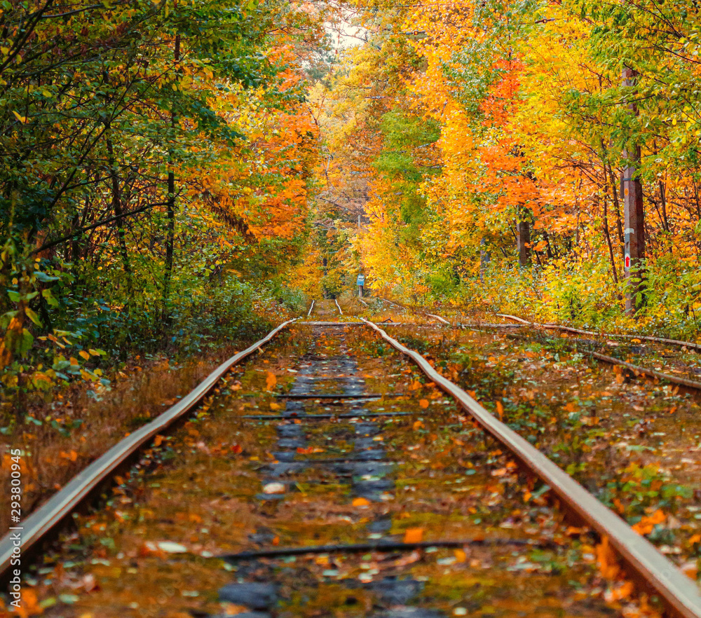 Autumn forest through which an old tram rides (Ukraine) Autumn forest through which an old tram rides (Ukraine)