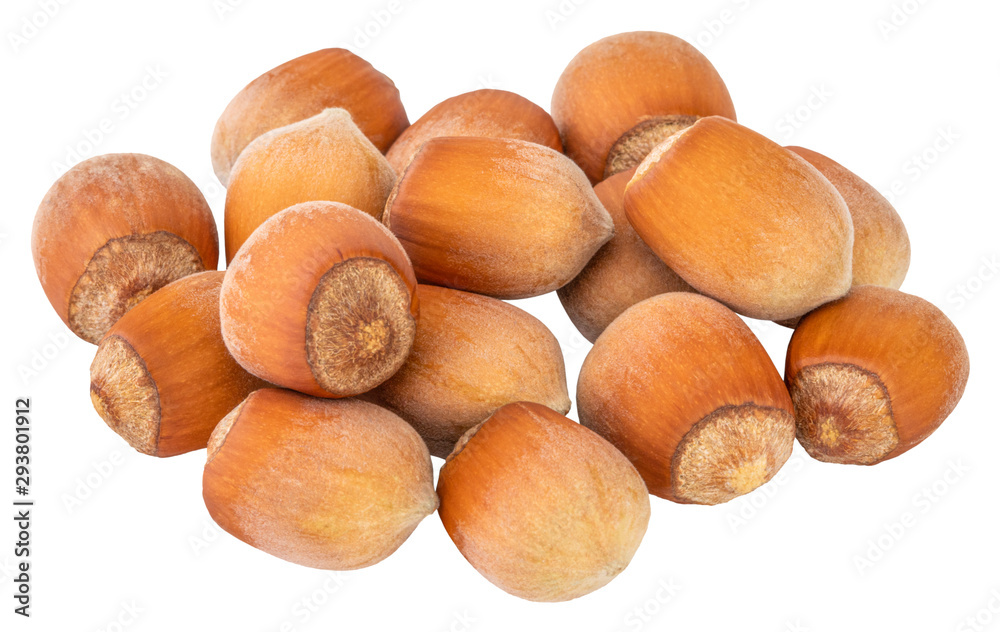 Hazelnut isolated on white background. With clipping path Hazelnut isolated on white background. With clipping path