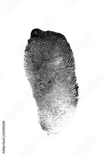 fingerprint pattern isolated on white - Image