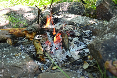 fire in the stone hearth in the forest