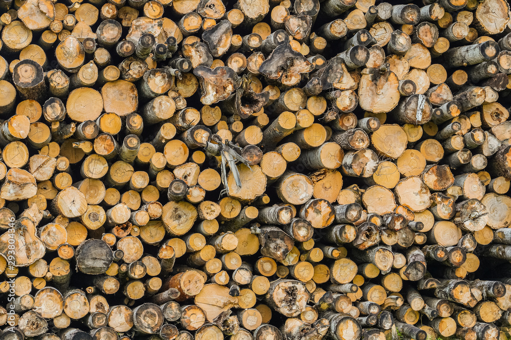 A pile of logs. Logs prepared for processing at a sawmill from the end part.