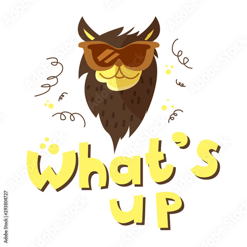 Funny vector cat in sunglasses illustration